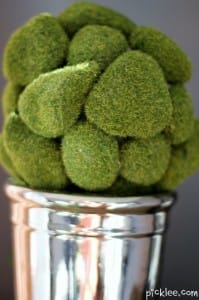 diy moss topiary close533x800