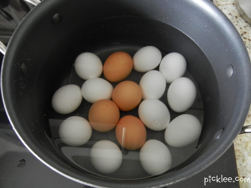 boil easter eggs
