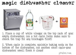 magic dishwasher cleaner