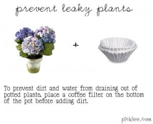 prevent leaky pots