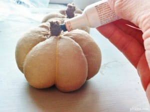 nylon pumpkin10
