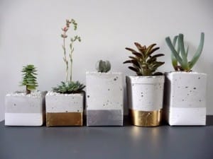 gold dipped planters