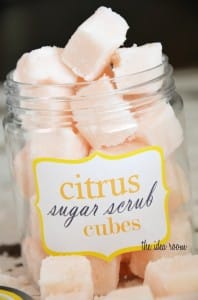 citrus sugar scrub cubes