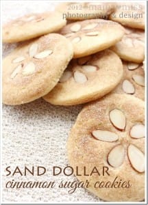 sand dollar cookies