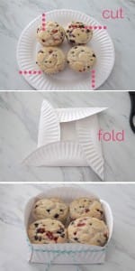 paper plate tray