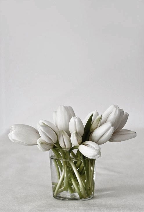 simple white flowers