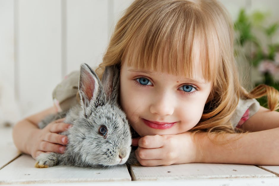 best pets for kids