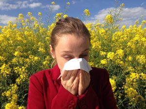 best air filter for allergies